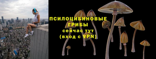 героин Алексин