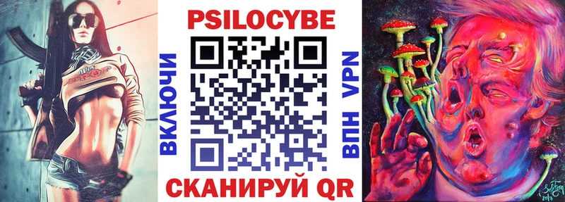 Псилоцибиновые грибы Psilocybe Динская